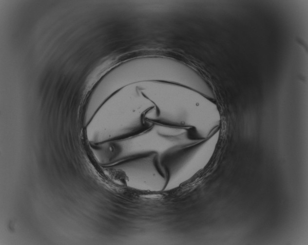 X0000103270053200809261211
