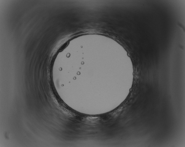 X0000103270055200809261211