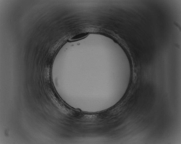 X0000103270057200809261211