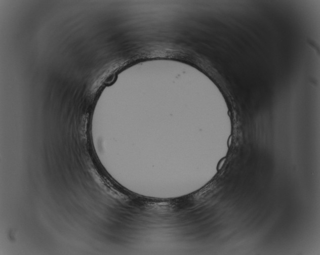 X0000103270058200809261211