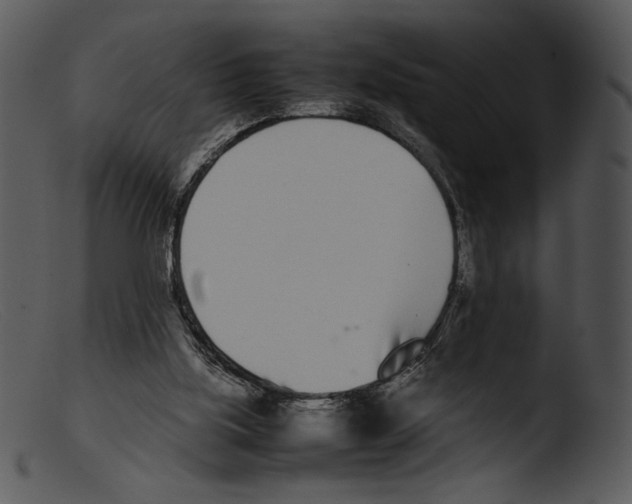 X0000103270059200809261211