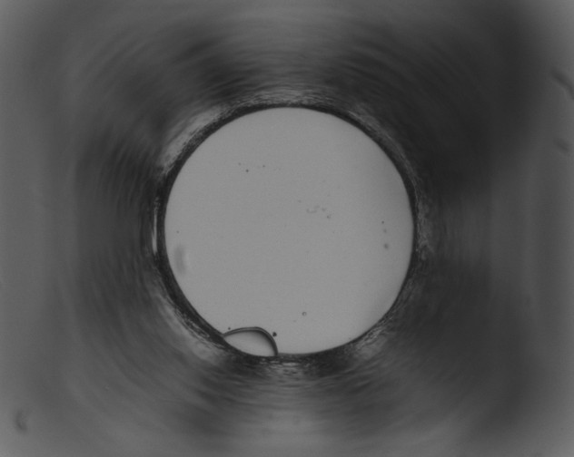 X0000103270062200809261211