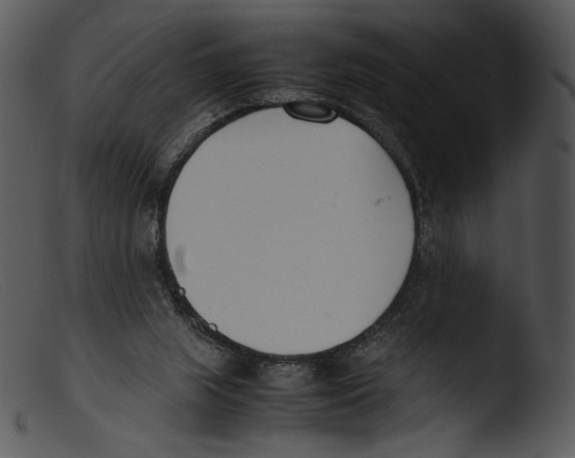 X0000103270063200809261211