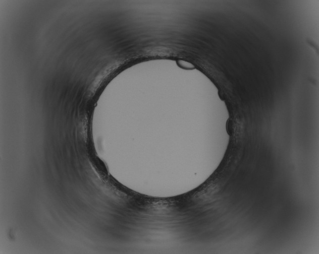 X0000103270064200809261211