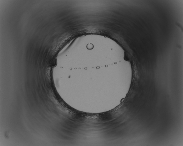 X0000103270066200809261211