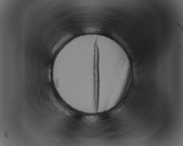 X0000103270067200809261211