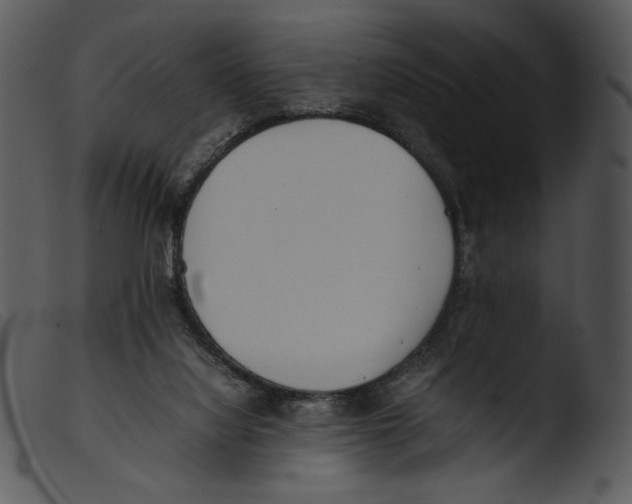 X0000103270068200809261211