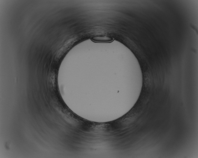 X0000103270072200809261211