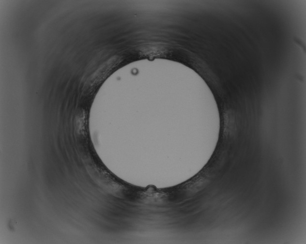 X0000103270073200809261211