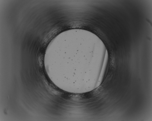 X0000103270074200809261211