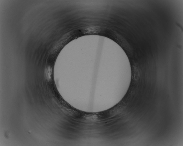 X0000103270075200809261211