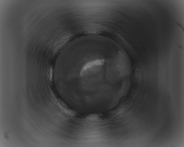 X0000103270076200809261211
