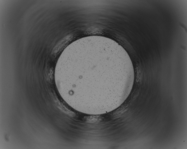 X0000103270077200809261211