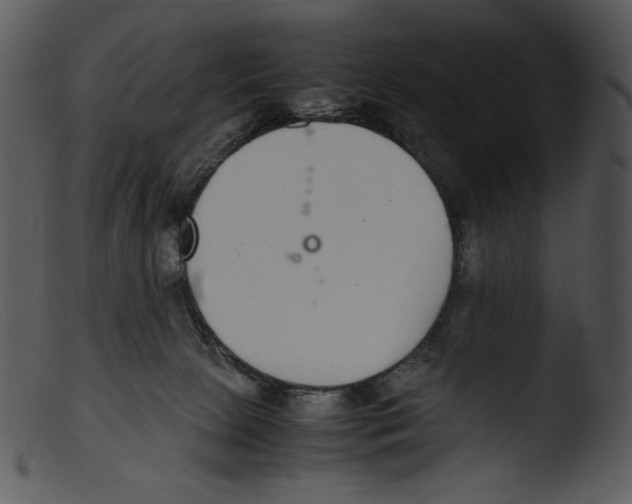 X0000103270081200809261211