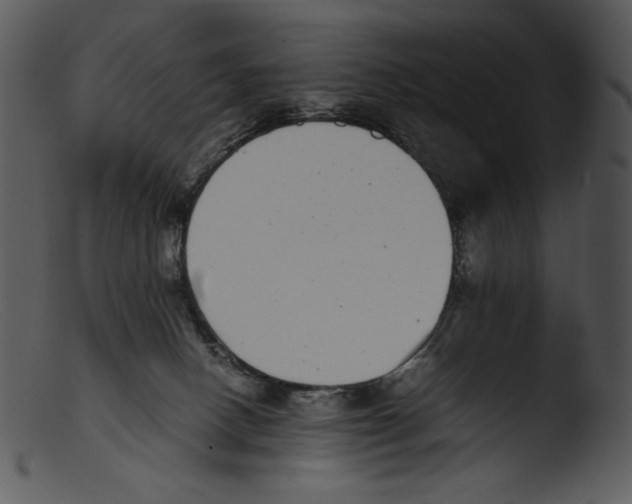 X0000103270082200809261211