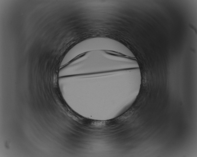 X0000103270084200809261212