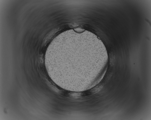 X0000103270085200809261212