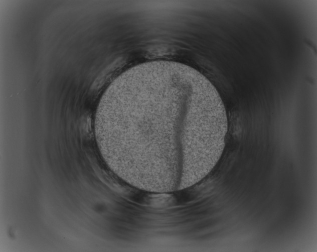 X0000103270087200809261212