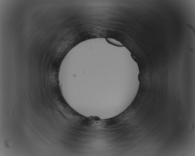 X0000103270088200809261212
