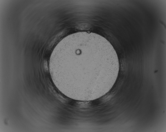 X0000103270089200809261212
