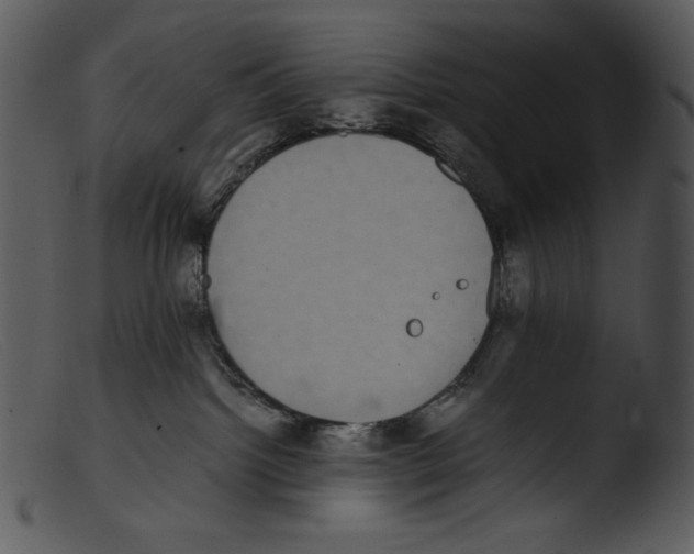 X0000103270092200809261212