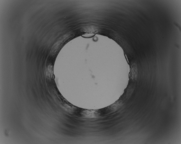 X0000103270093200809261212