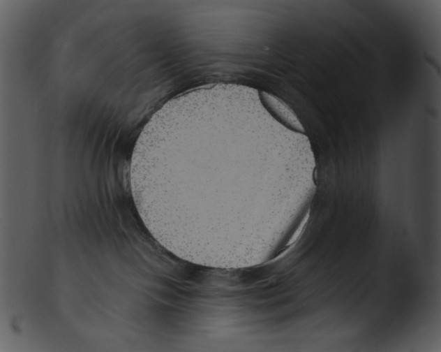 X0000103270094200809261212