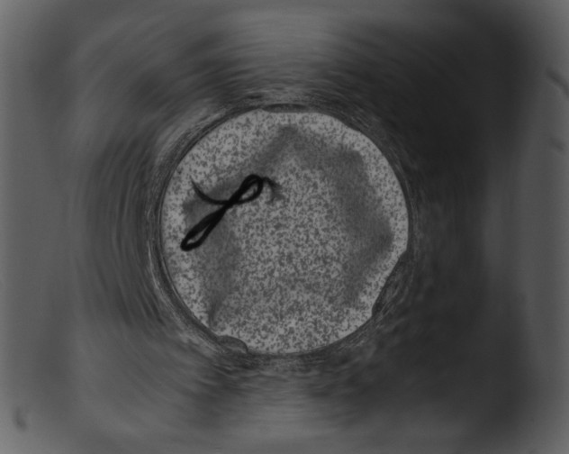 X0000103270097200809261211