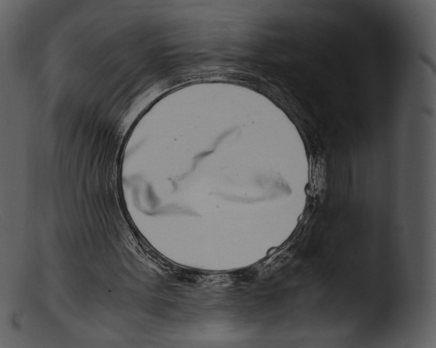 X0000103270099200809261211