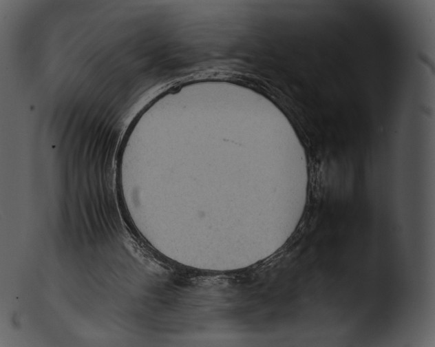 X0000103270100200809261211