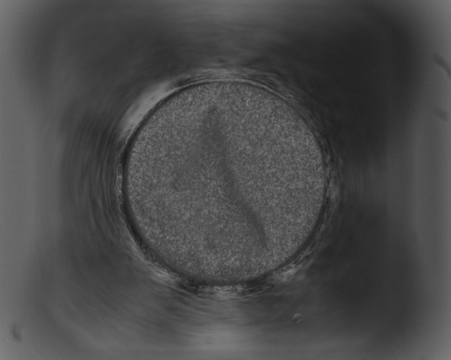 X0000103270103200809261211