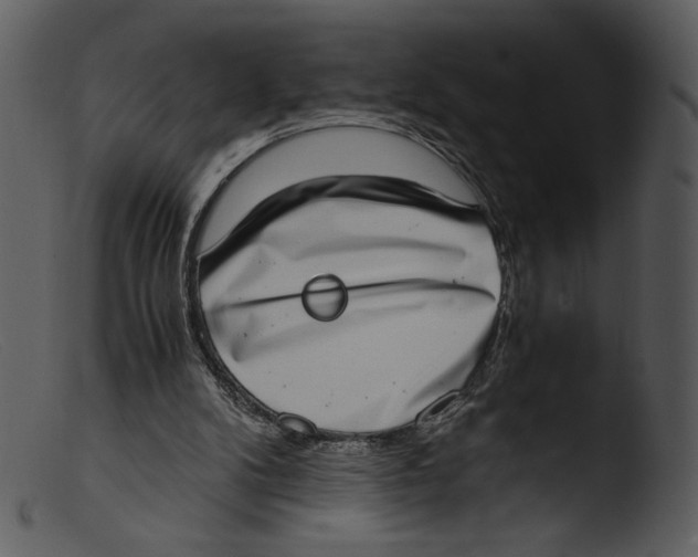 X0000103270104200809261211