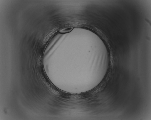 X0000103270105200809261211