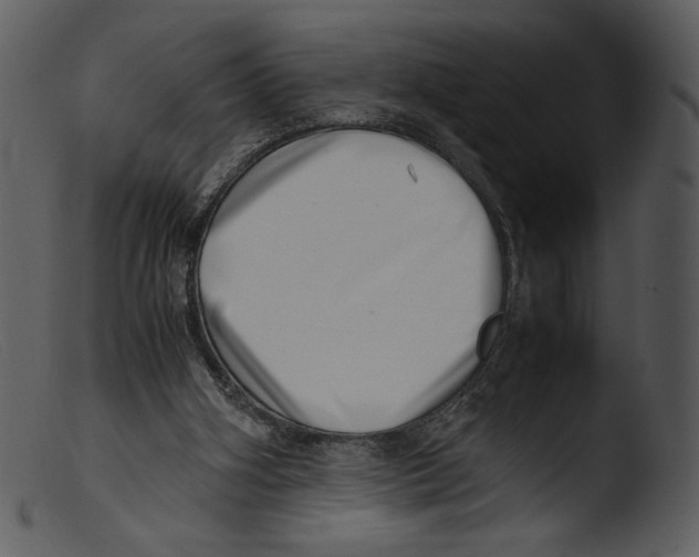 X0000103270106200809261211