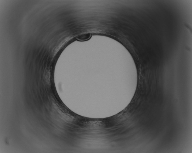 X0000103270108200809261211