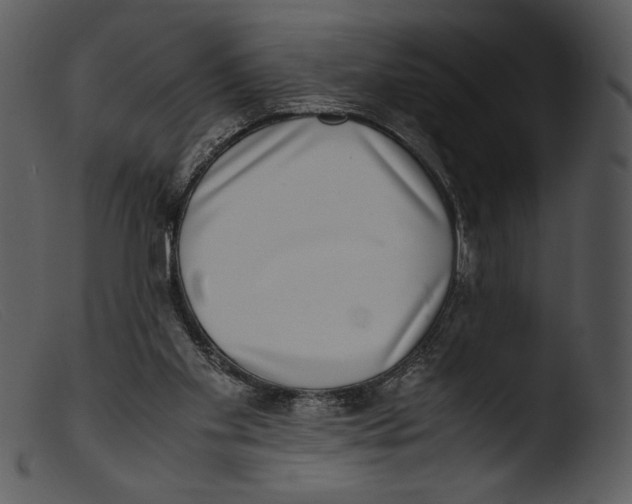 X0000103270109200809261211