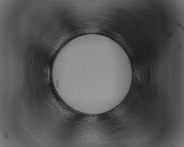X0000103270110200809261211