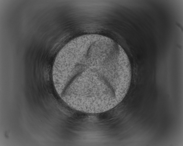 X0000103270114200809261211