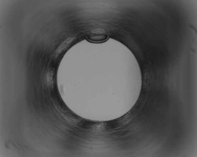X0000103270116200809261211