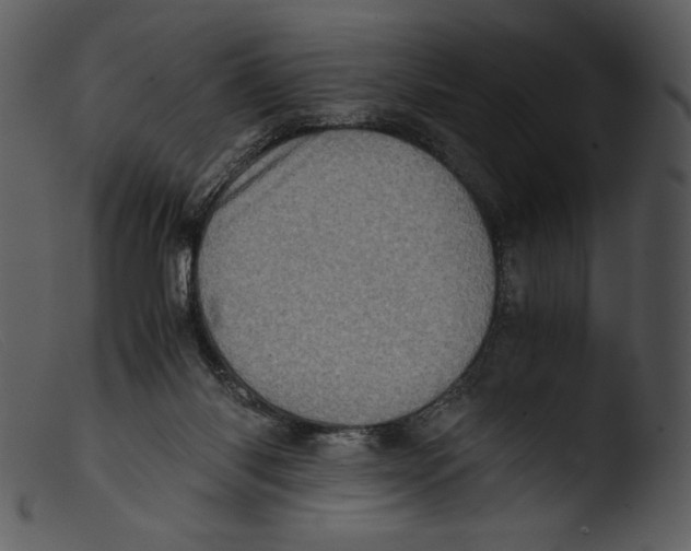 X0000103270118200809261211