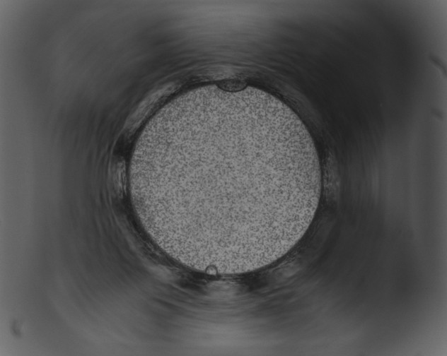 X0000103270119200809261211