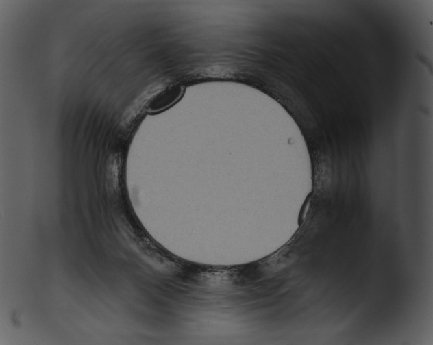 X0000103270120200809261211
