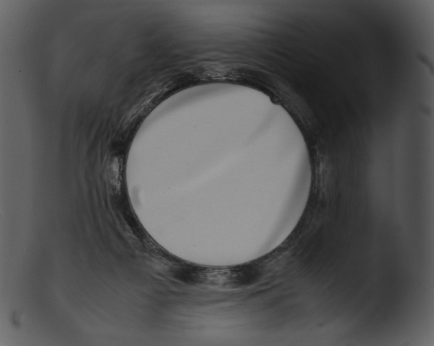 X0000103270121200809261211