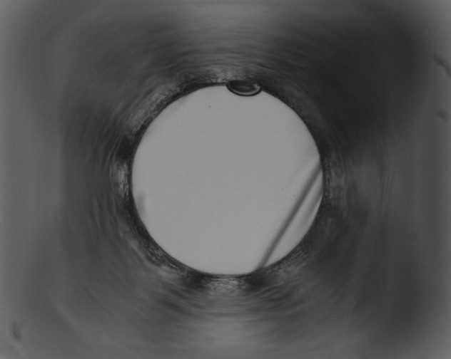 X0000103270123200809261211