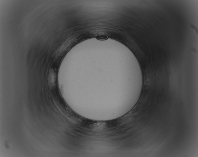 X0000103270124200809261211