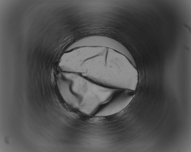 X0000103270128200809261211