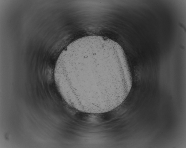 X0000103270130200809261211