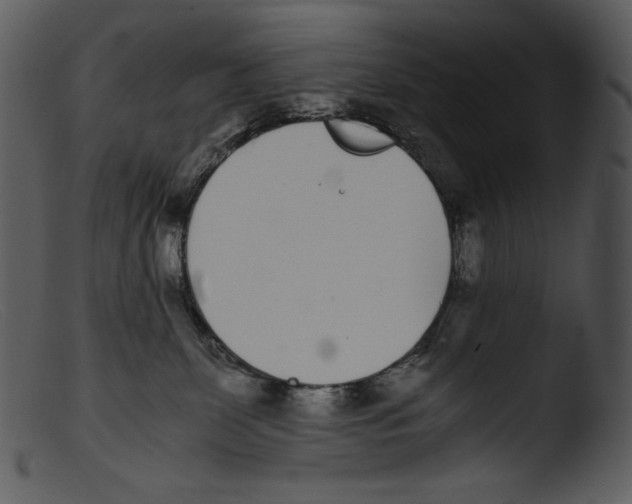 X0000103270131200809261211
