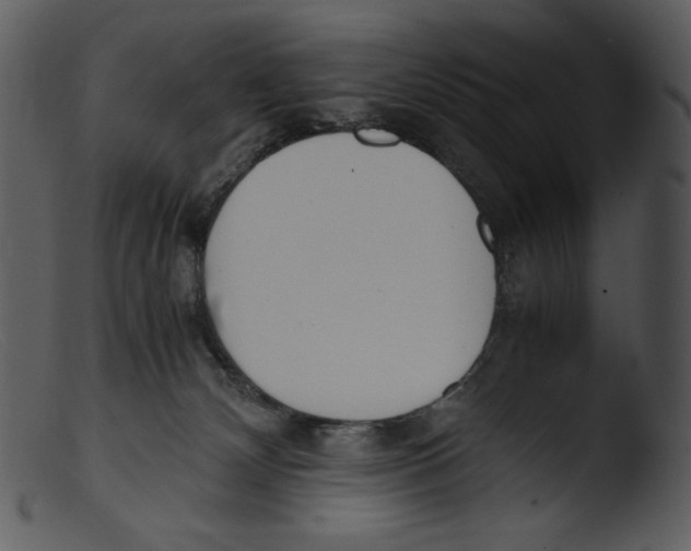 X0000103270132200809261211