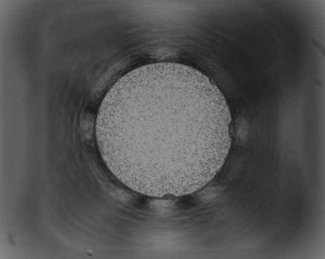 X0000103270133200809261211